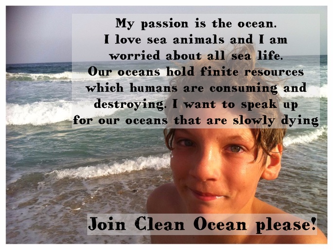  Clean Ocean Application  Unterstuetzen Sie die Fundraising Kampagne