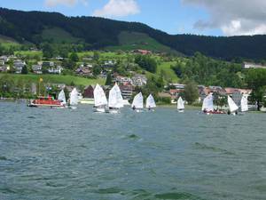  Optimist  Team Race Swiss Championship 2016  SC Aegeri  Day 2