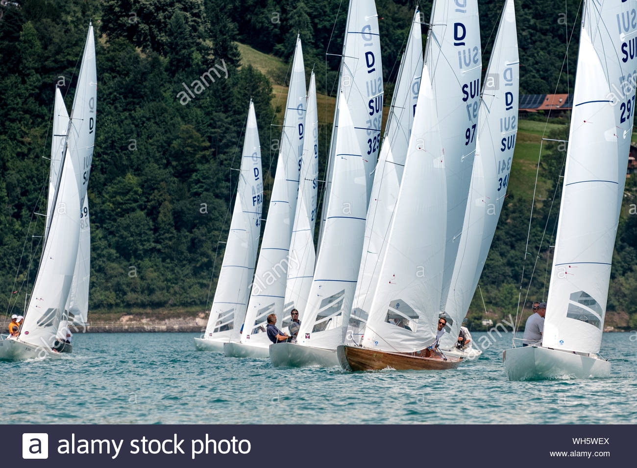  Drachen, Dolphin, Yngling  Cup  Thunersee YC