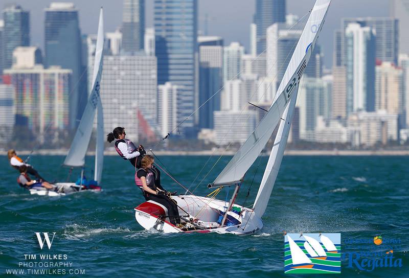  Optimist, Laser, 420  Orange Bowl  Miami FL, USA  Day 3, another perfect sailing day on Biscayne Bay