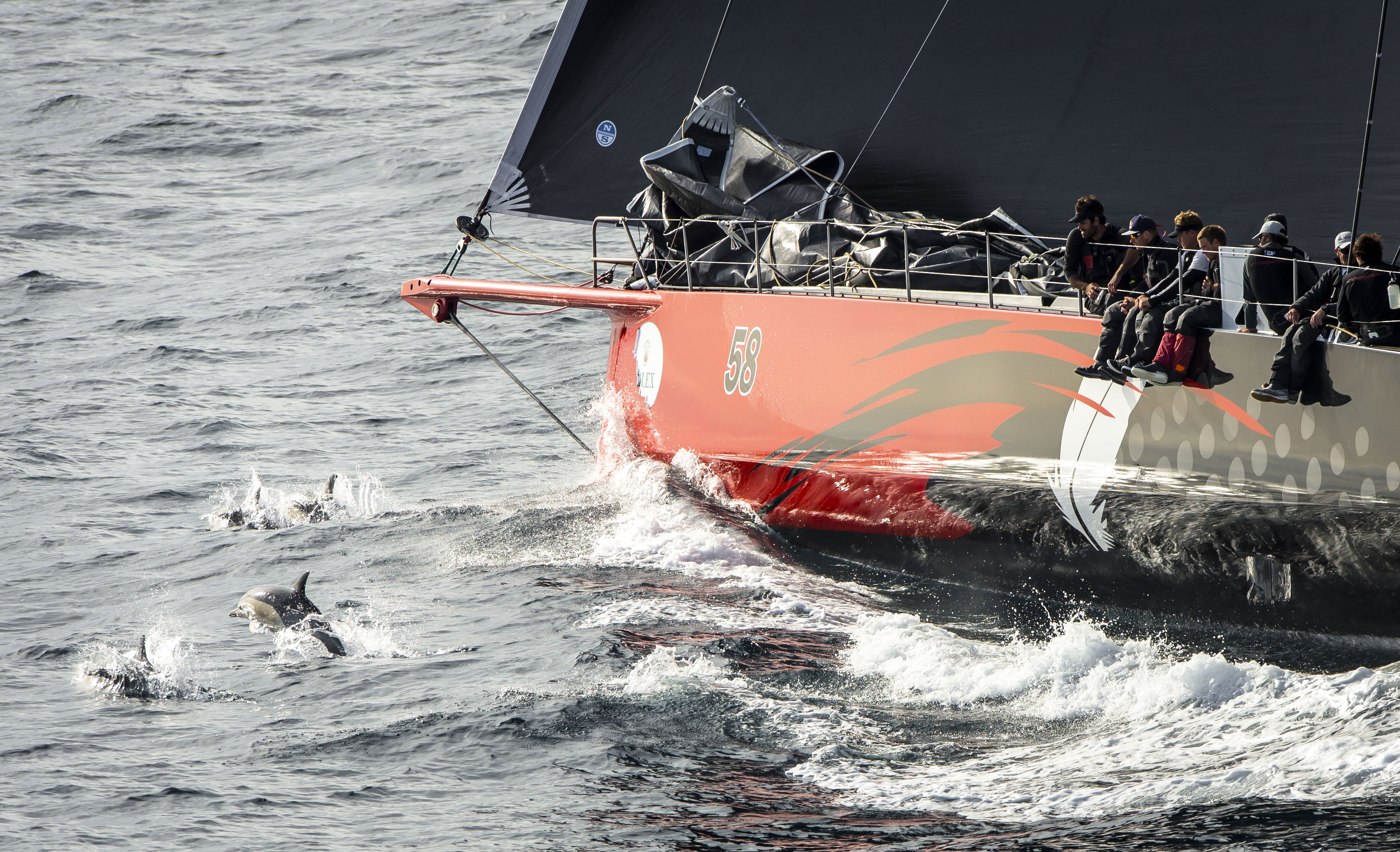  IRC  SydneyHobart Race  Sydney AUS  Day 3, Line honors for 'Comanche' USA