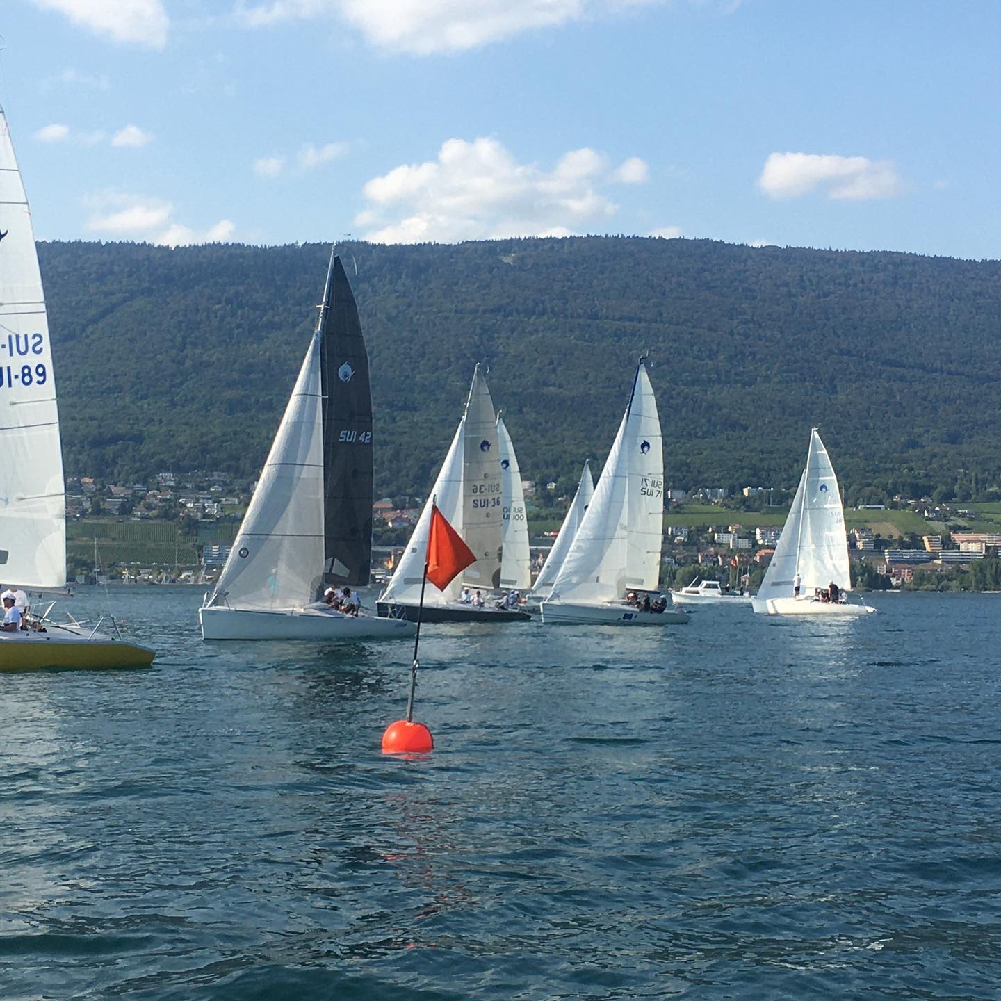  Dolphin 81  Swiss Championship 2020  CV Neuchatel  Final results