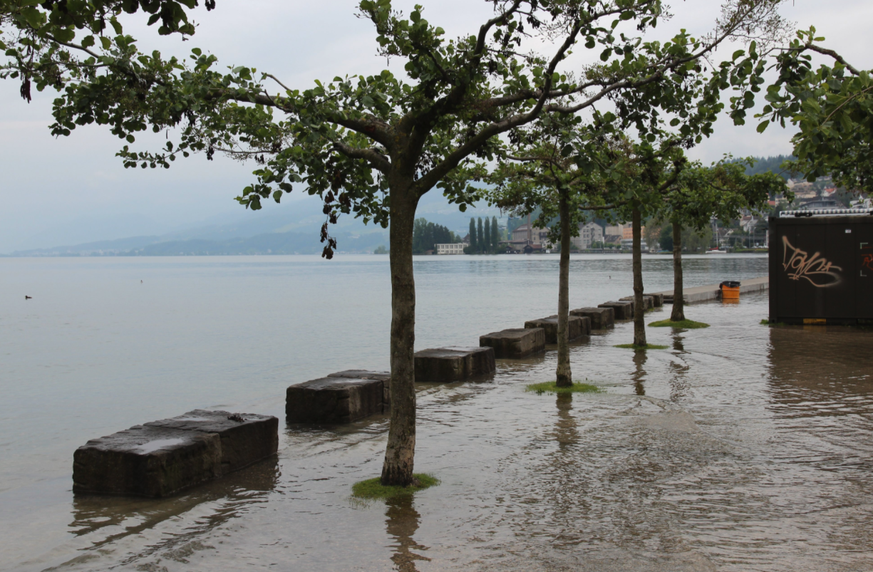  Weekend des Regates Suisses  17./18. Juli  Inondations !