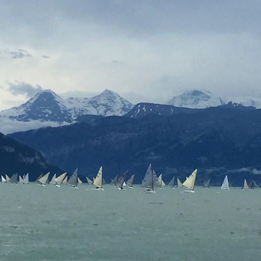  Finn  Championnat Suisse 2016  Thunersee YC  Final results