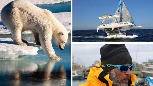  BeachCatamaran  Yvan Bourgnon SUI in the NorthWest Passage  Polar bear alert !