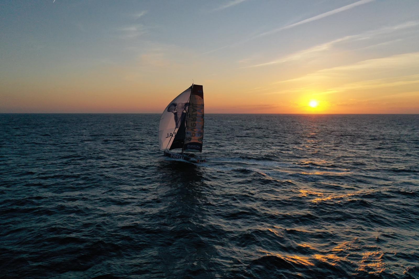  IMOCA Open 60, Class 40, Ultime, Ocean50  Transat Jacques Vabre  Day 14