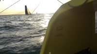  IMOCA Open 60, Class 40, Multi 50 - Transat Jacques Vabre - Day 2, Enright/Bidegorry USA/FRA up on 4th