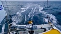  IMOCA Open 60, Class 40, Ultime, Ocean50 - Transat Jacques Vabre - Day 7