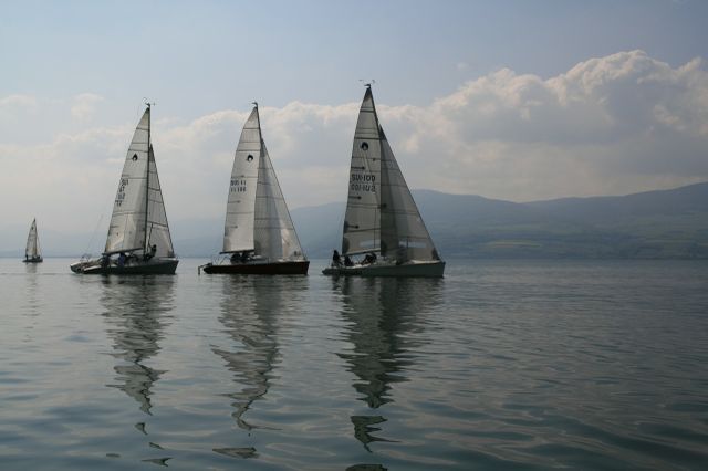  Dolphin 81, DOneDinghy  Swiss Championship/EuroCup  YC Bielersee  Final results