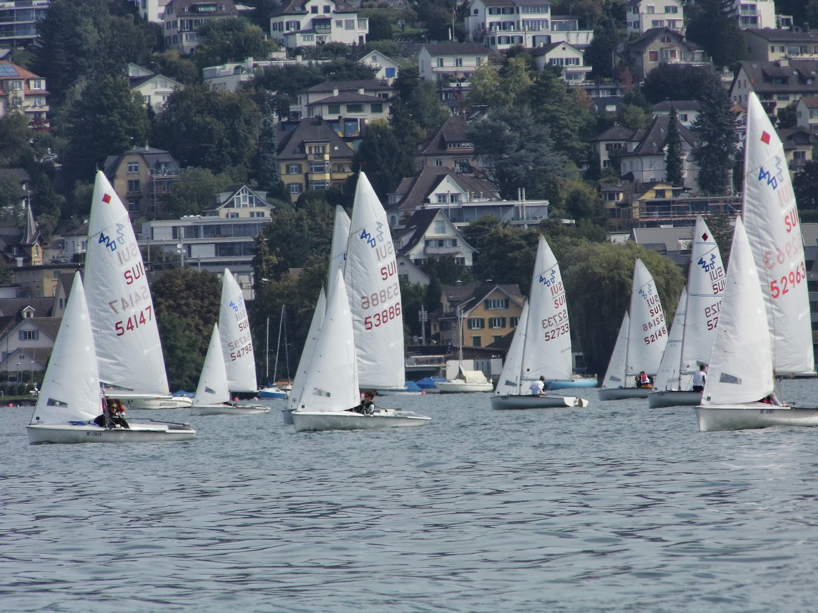 420 + 470  Points' Championship, Lake Zurich Act  SV Thalwil