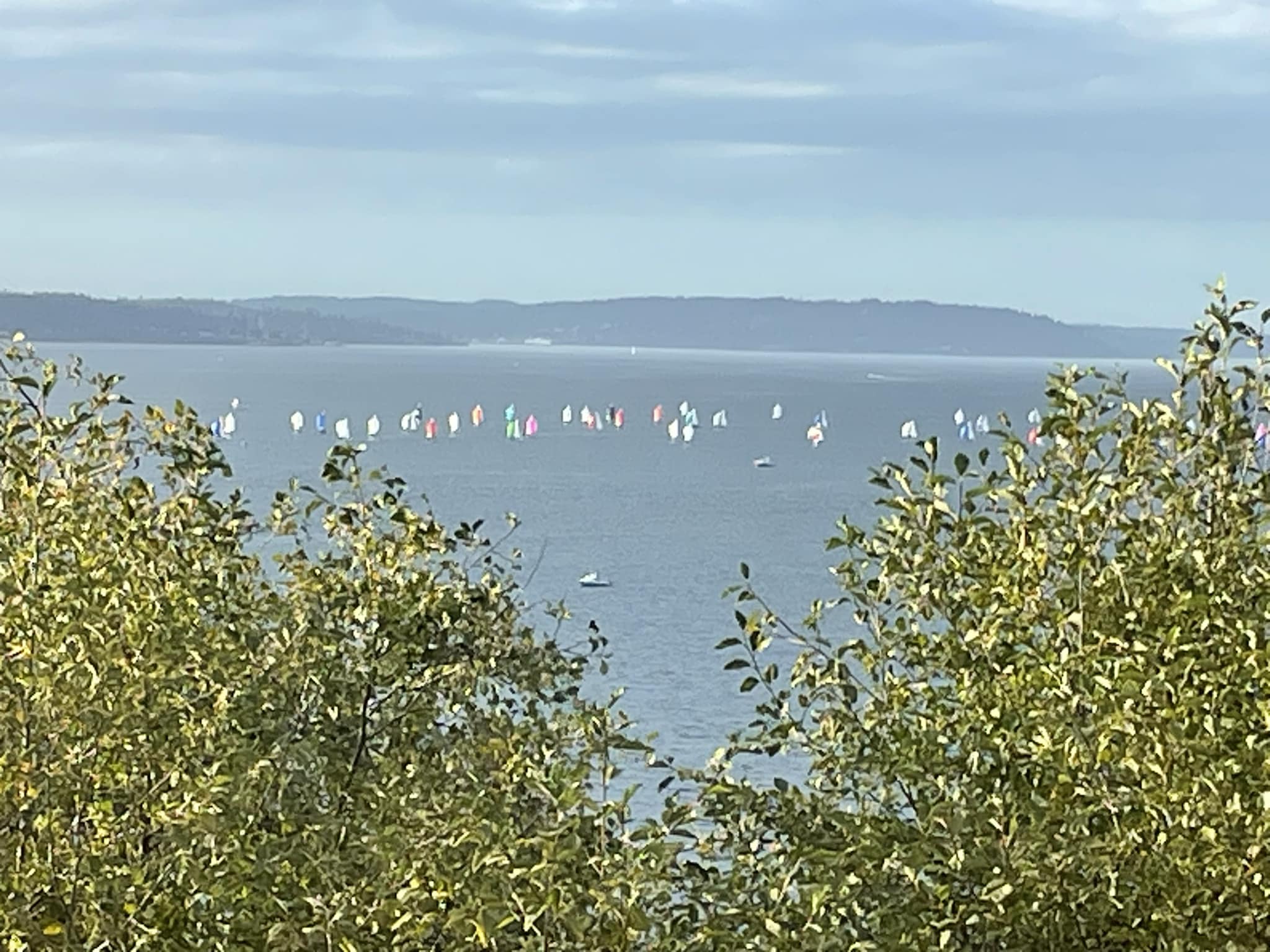  J/24 - World Championship 2024 - Seattle OR, USA - Day 1